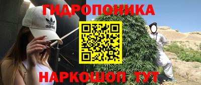 герыч Гатчина