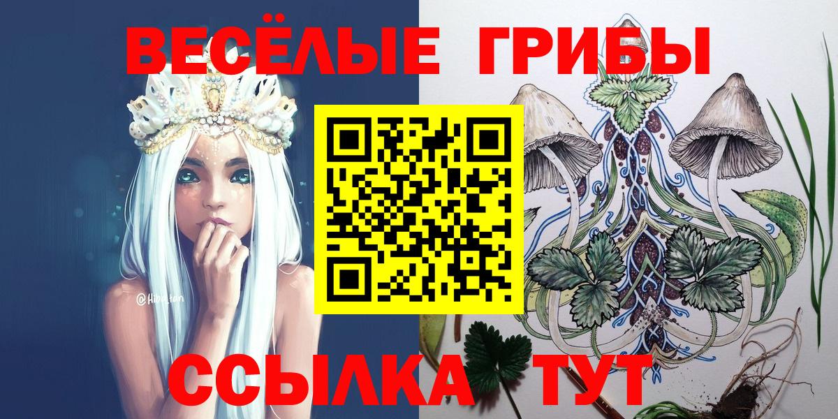 Невинномысск  наркота  Вход с VPN  Галлюциногенные грибы Psilocybe 